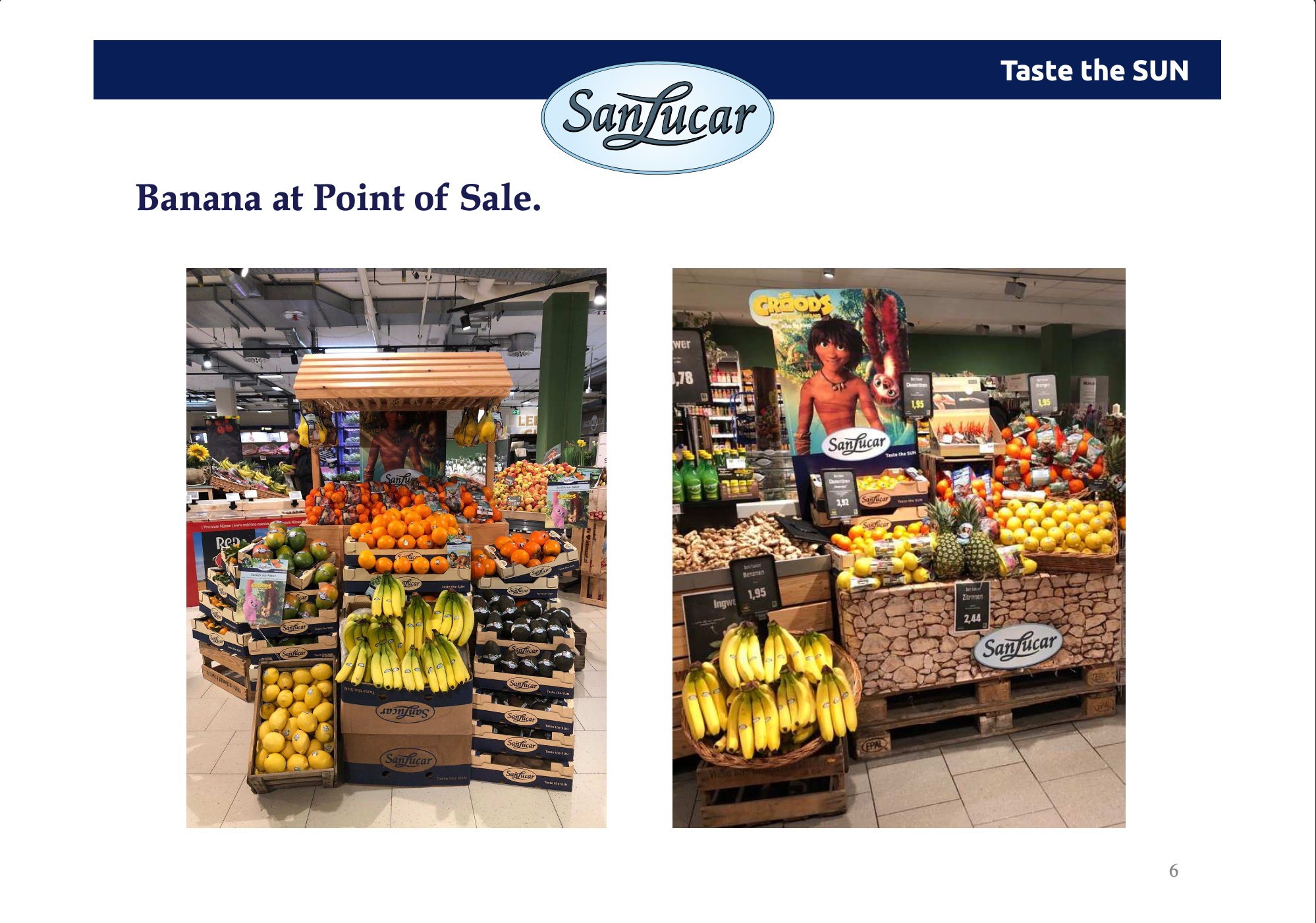 Fresh fruits assortment 2